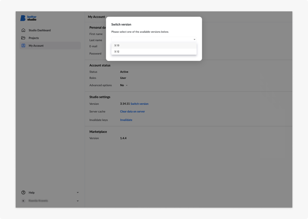 Version switcher options